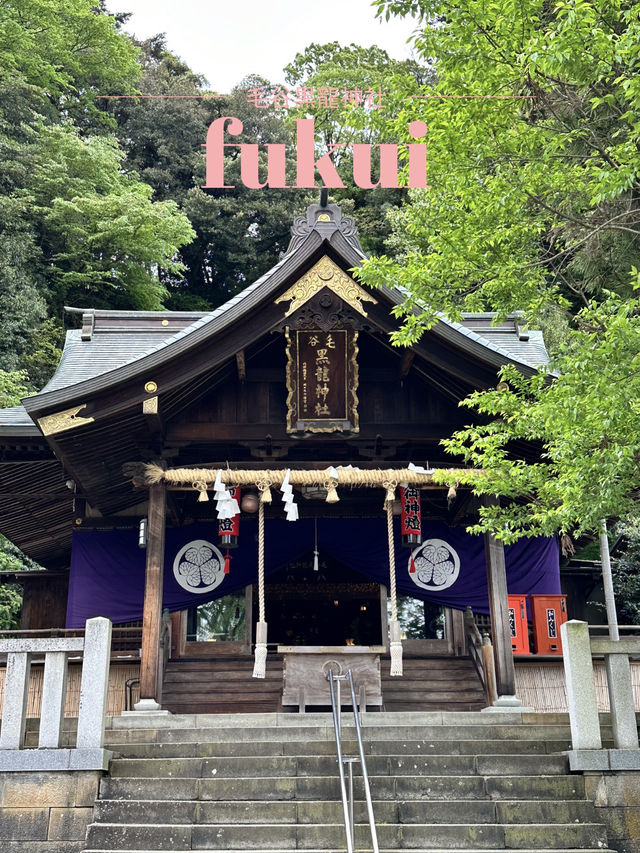 【福井×毛谷黒龍神社】  パワースポットだらけの境内