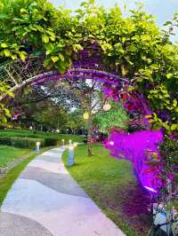 “Nature Illuminated – Sustainability at Taman Putra Perdana”