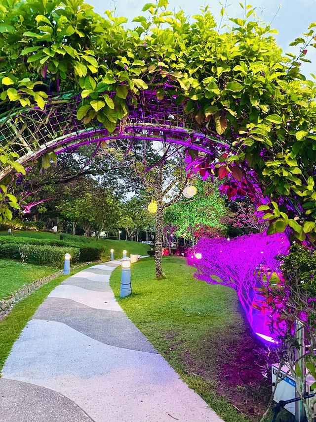 “Nature Illuminated – Sustainability at Taman Putra Perdana”