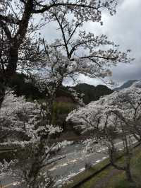 Hike Magome-Tsumago