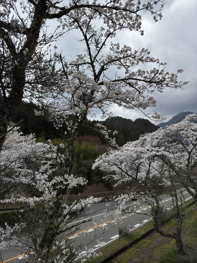 Hike Magome-Tsumago