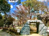 大阪近郊賞櫻，親子最愛的五月山公園