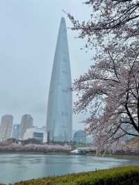 🌸 **Seokchon Lake: A Springtime Fairy Tale in Seoul** 🌸  