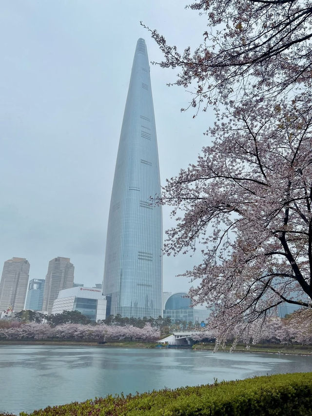 🌸 **Seokchon Lake: A Springtime Fairy Tale in Seoul** 🌸  