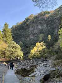 【宮崎】絶景、高千穂峡へ日帰り旅！