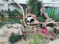“Zoo Negara — Malaysia’s Wild Heart of Adventure and Conservation”
