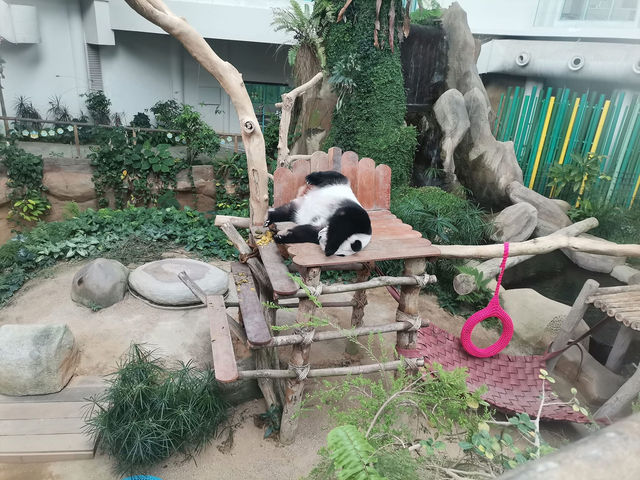 “Zoo Negara — Malaysia’s Wild Heart of Adventure and Conservation”