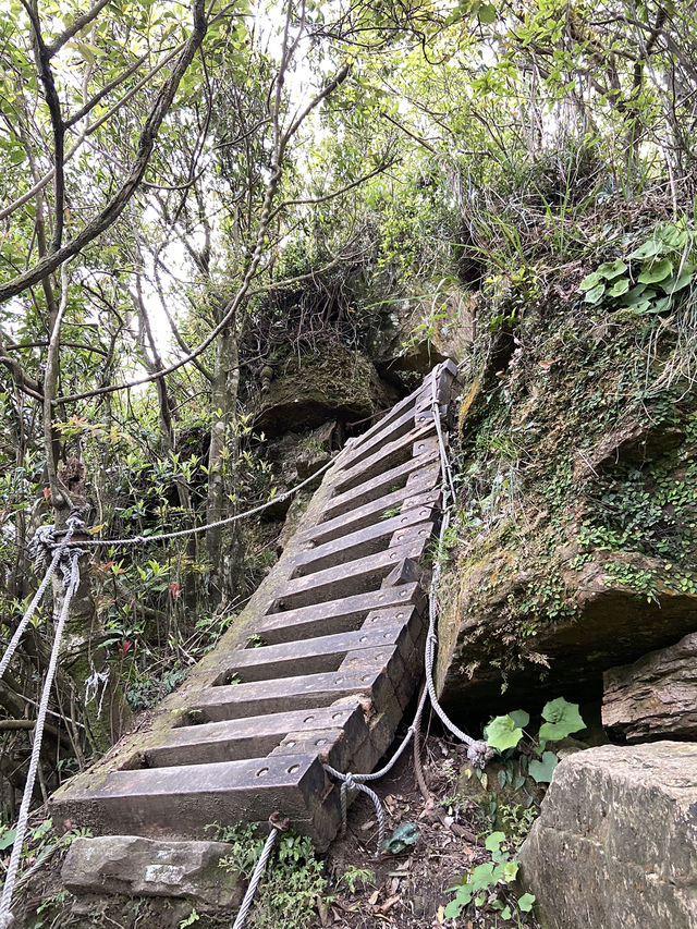 新店第一高峰-獅仔頭山｜古道遺跡探險路線推薦！