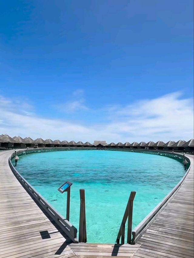 🌺 Feeling Relaxed in Taj Exotica Maldives – Where Peace Meets Paradise 🧘‍♀️🌊