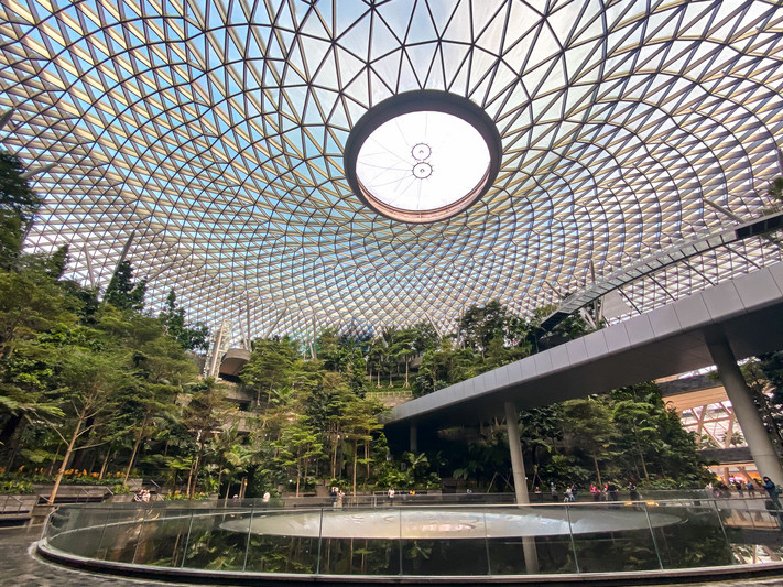 世界一美しい空港の滝🌿】チャンギ空港「Jewelの滝」｜Rain Vortex