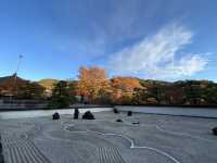 興禅寺の看雲庭と紅葉