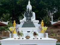 วัดป่ายาง สบยาบ เชียงแสน
