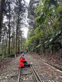 走讀阿里山林道鐵路的百年風華～奮起湖站到十字路站