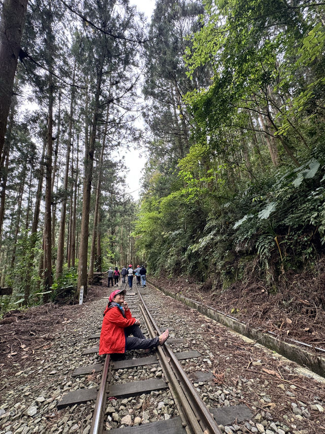 走讀阿里山林道鐵路的百年風華～奮起湖站到十字路站