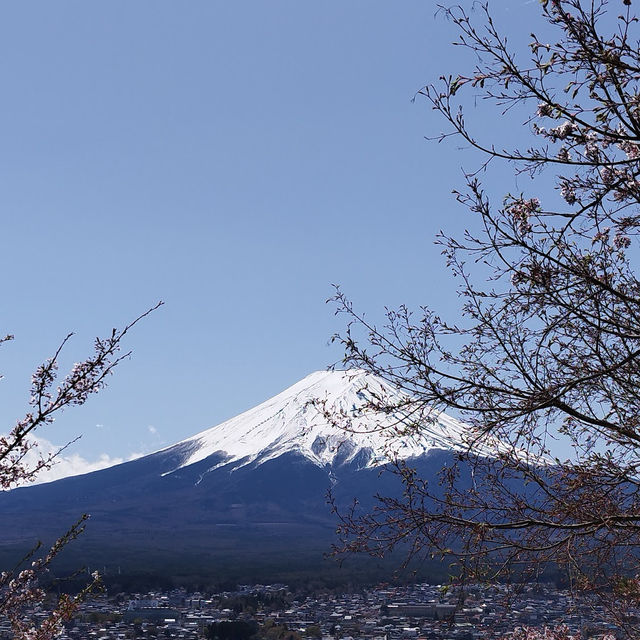 富士山（山梨県／静岡県）