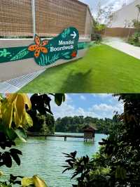 Serene Strolls Amidst Singapore's Nature