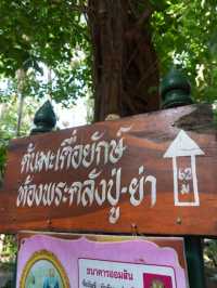 🌺 คำชะโนด