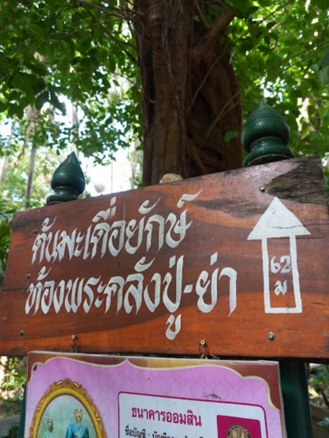 🌺 คำชะโนด