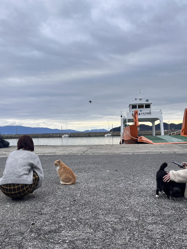 【岡山県】猫がたくさんいる島🐈