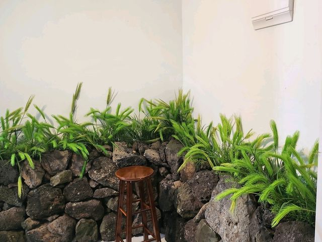 제주홀릭뮤지엄