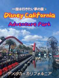 【アメリカ・カリフォルニア】夢の国🎡✨ ディズニー・カリフォルニア・アドベンチャー・パーク 