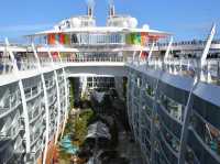 "Symphony of the Seas: A Floating Party (With Zero Chill)" 🎉🚢🔥