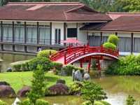 🌸 Serenity Now! A Peaceful Escape at Japanese Garden, Singapore 🌸