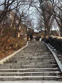 【韓国/ソウル】南山タワーを見ながらお散歩《南山公園》