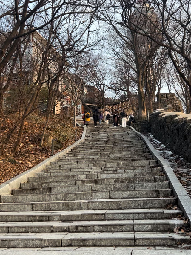 【韓国/ソウル】南山タワーを見ながらお散歩《南山公園》