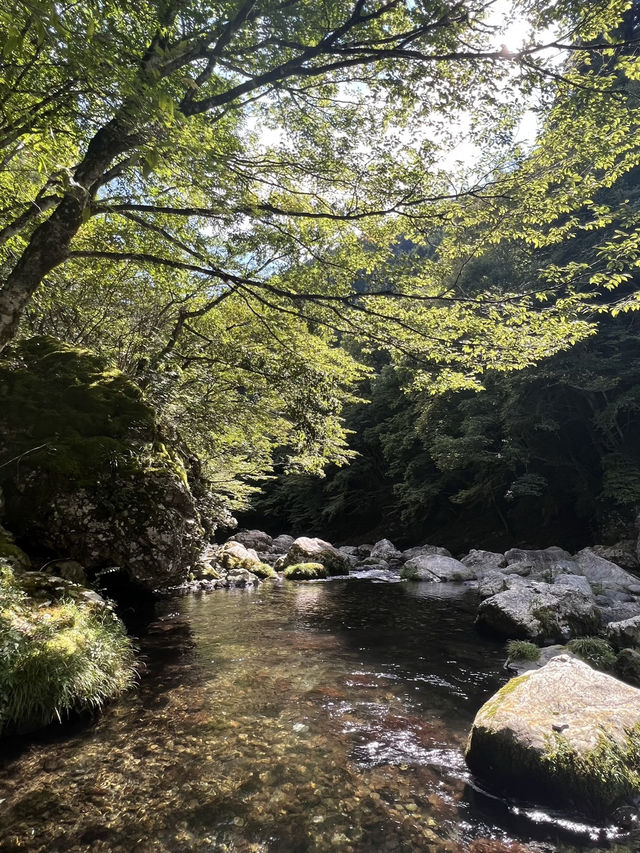 【奈良県】天川村の絶景スポット🏞️
