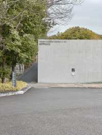 【愛知/豊田】建築とアートが響き合う静寂の美術館