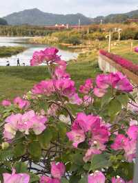 📸新景點🌸chill放鬆～光明虹橋🌈