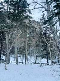 【北海道】層雲峽：被冰封的流星瀑布和銀河瀑布
