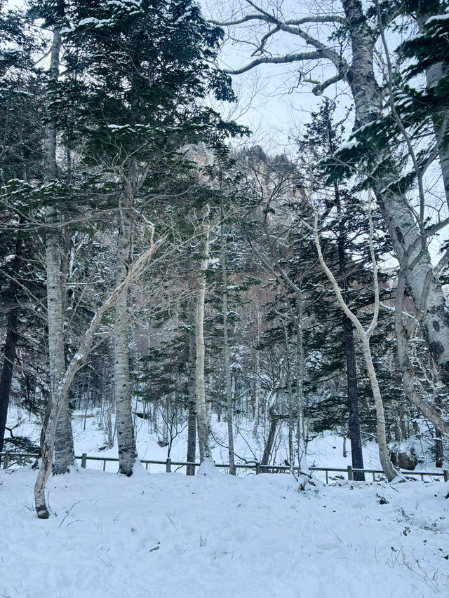 【北海道】層雲峽：被冰封的流星瀑布和銀河瀑布