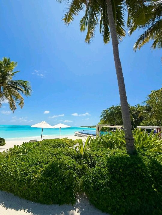 beach in maldives