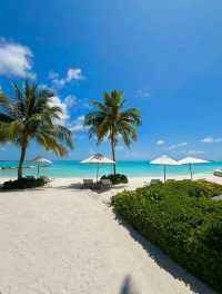 beach in maldives