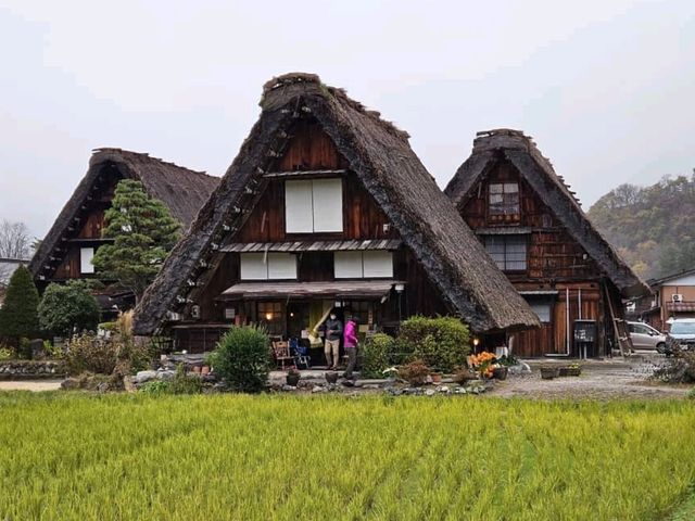 3 siblings in Shirakawago 