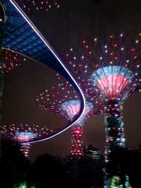 #OCBC Skyway-新加坡濱海灣花園