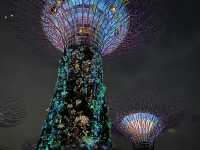 Gardens by the Bay: A Futuristic Oasis in the Heart of Singapore