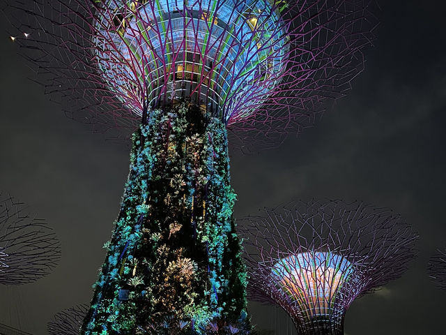 Gardens by the Bay: A Futuristic Oasis in the Heart of Singapore