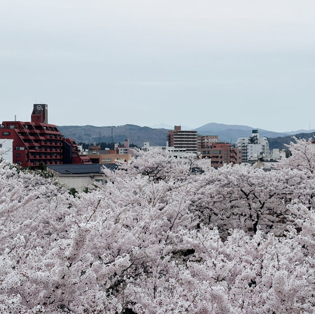 A romantic city in bloom (Morioka)