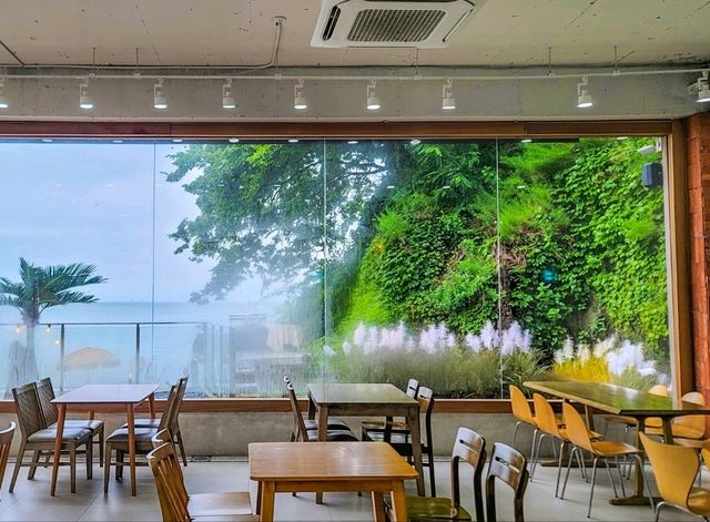 하이바다 이쁜 바다 카페