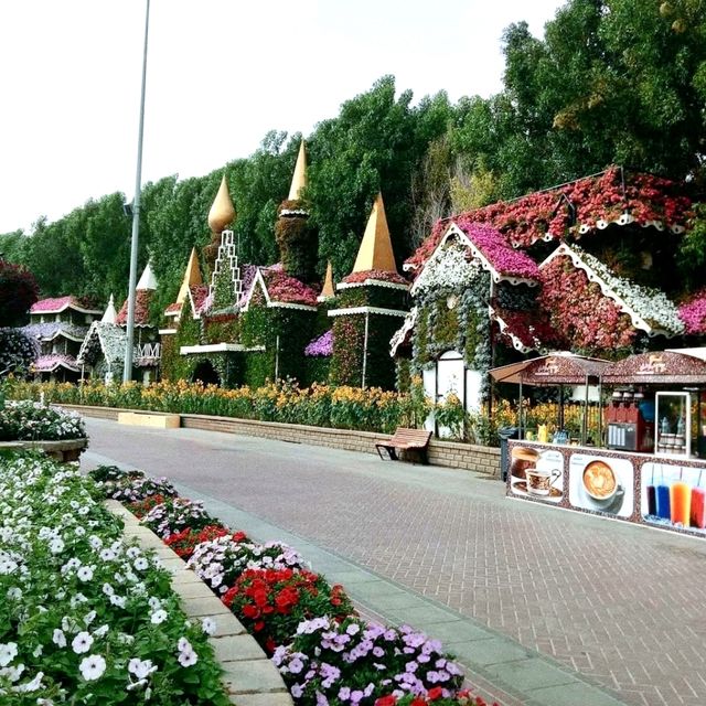 Springtime in Dubai's Miracle Garden: A Floral Wonderland