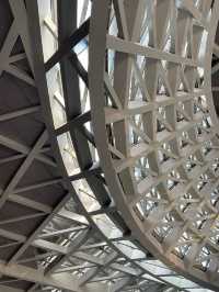 Museum of Contemporary Art & Planning Exhibition