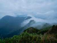 ถึง ภูชี้ฟ้าแล้ว ⛰️ สวยสะกด ธรรมชาติงดงาม