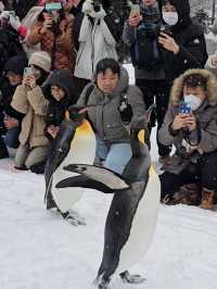 Asahikawa Winter Escape: Snow Sculptures, Penguins & Private Onsen Bliss