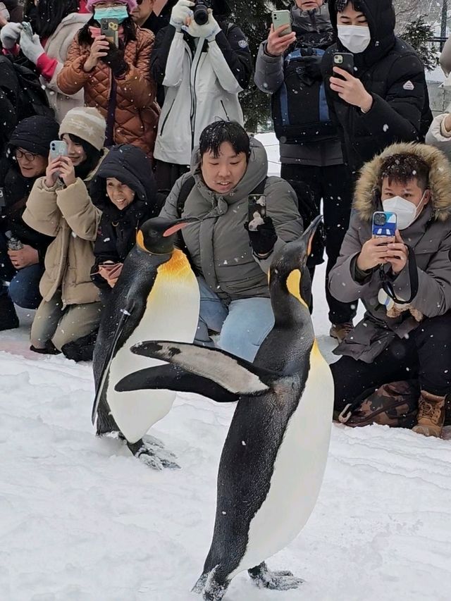 Asahikawa Winter Escape: Snow Sculptures, Penguins & Private Onsen Bliss