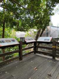 Steamy Sights and Science in Beitou