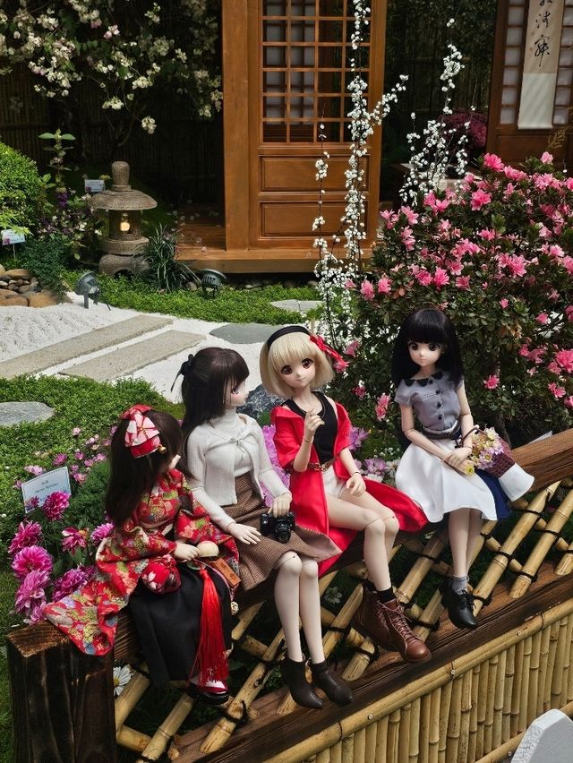 維多利亞公園鮮花任賞