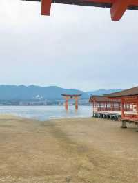 【最強神社3選】2025年は弁財天様の年✨絶対に行きたい神社『3選』はこちら!!